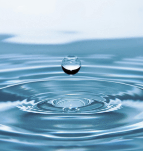 pexels-pixabay-40784 1